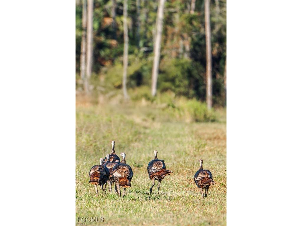 007 Misty Morning Lane Fort Myers FL 33913 2025015568 image30