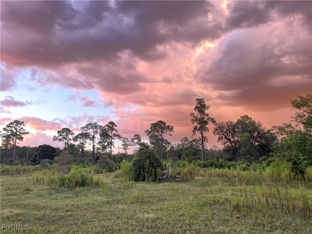 007 Misty Morning Lane Fort Myers FL 33913 2025015568 image33
