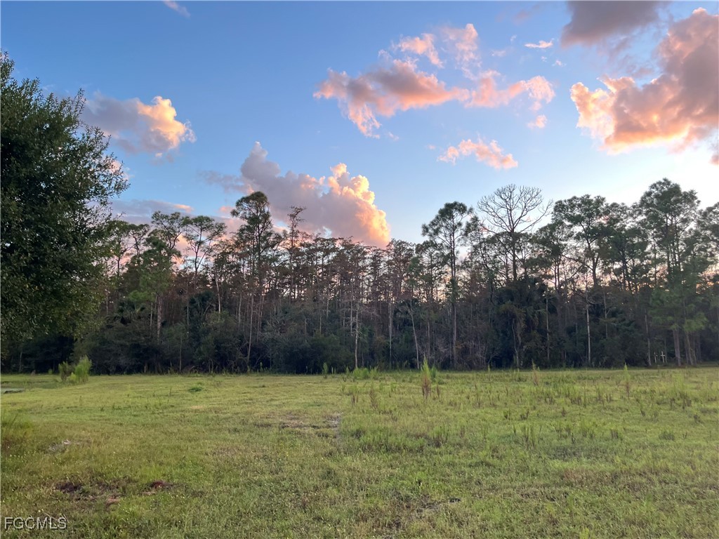 007 Misty Morning Lane Fort Myers FL 33913 2025015568 image34