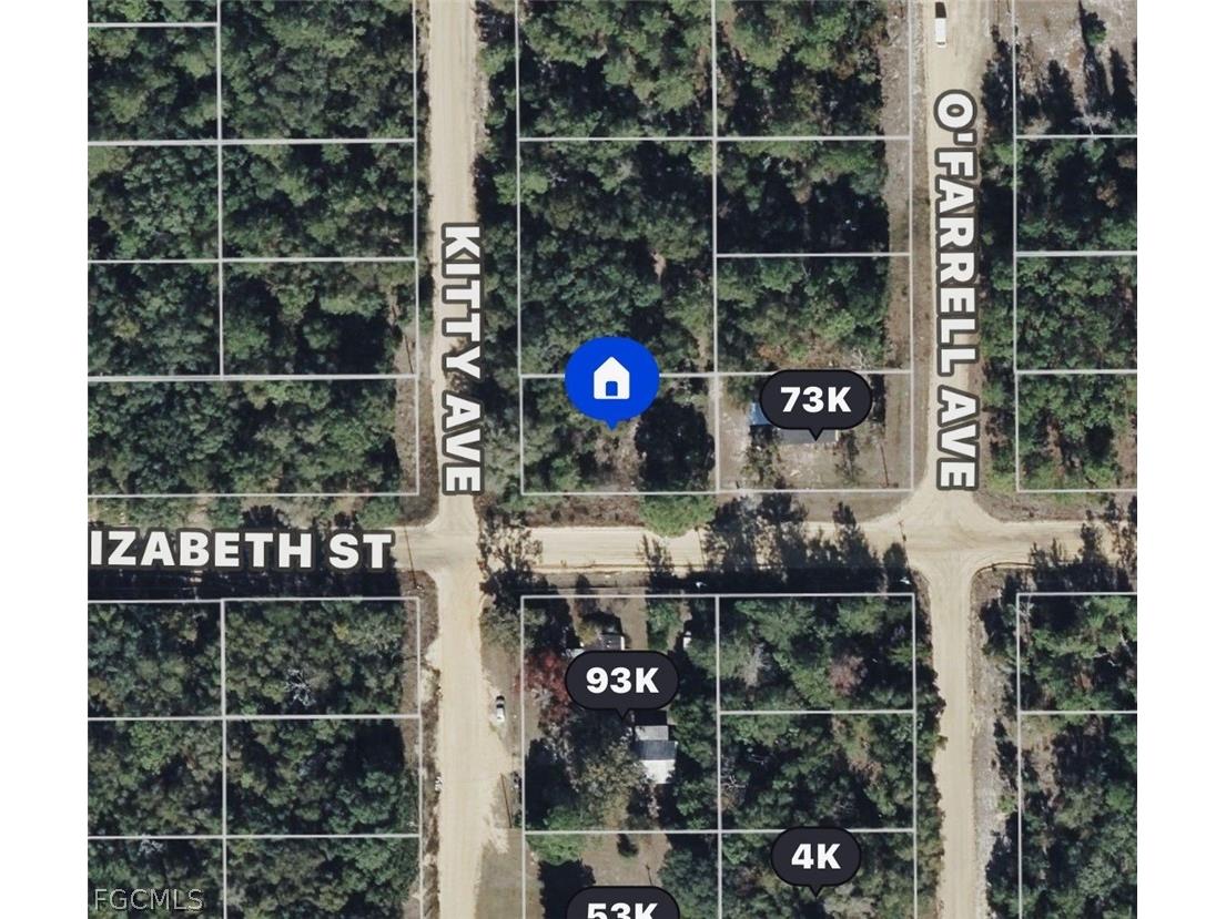 0180 Elizabeth Street Interlachen FL 32148 2026012178 image1