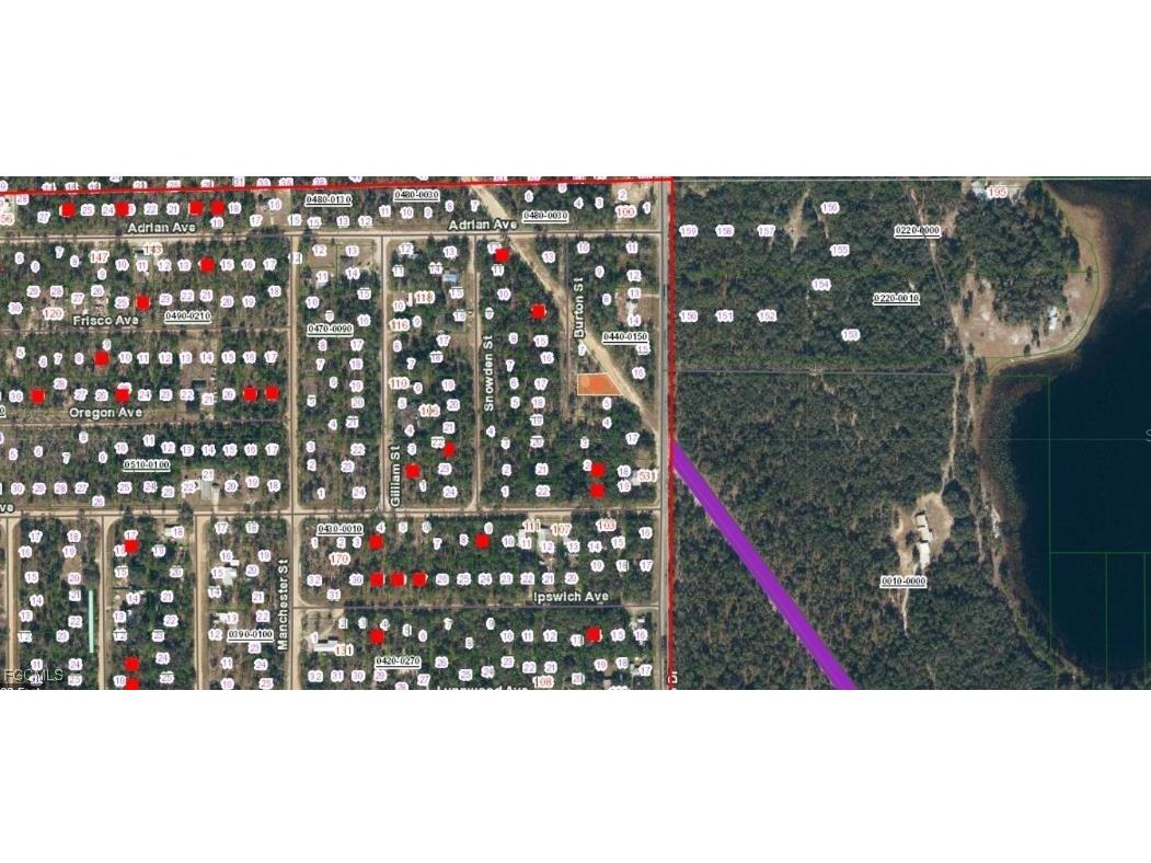 09-10-24-4068-0440-0060 Burton Street Interlachen FL 32148 2025018058 image2