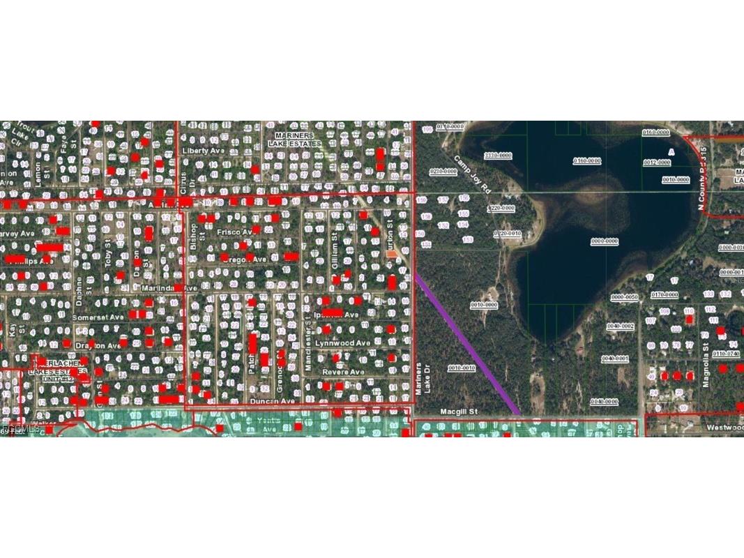 09-10-24-4068-0440-0060 Burton Street Interlachen FL 32148 2025018058 image3