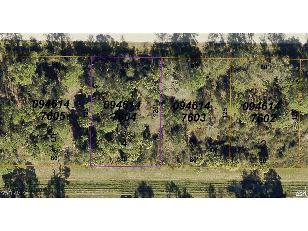 0946147604 Campos Avenue North Port FL 34291 224089023 image1