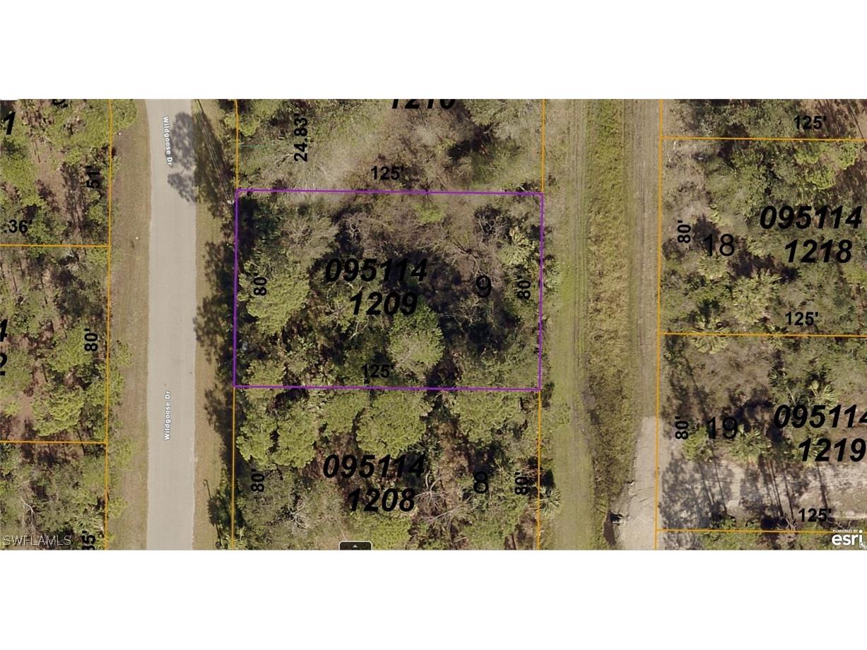 0951-14-1209 Wildgoose Drive North Port FL 34291 223064352 image1