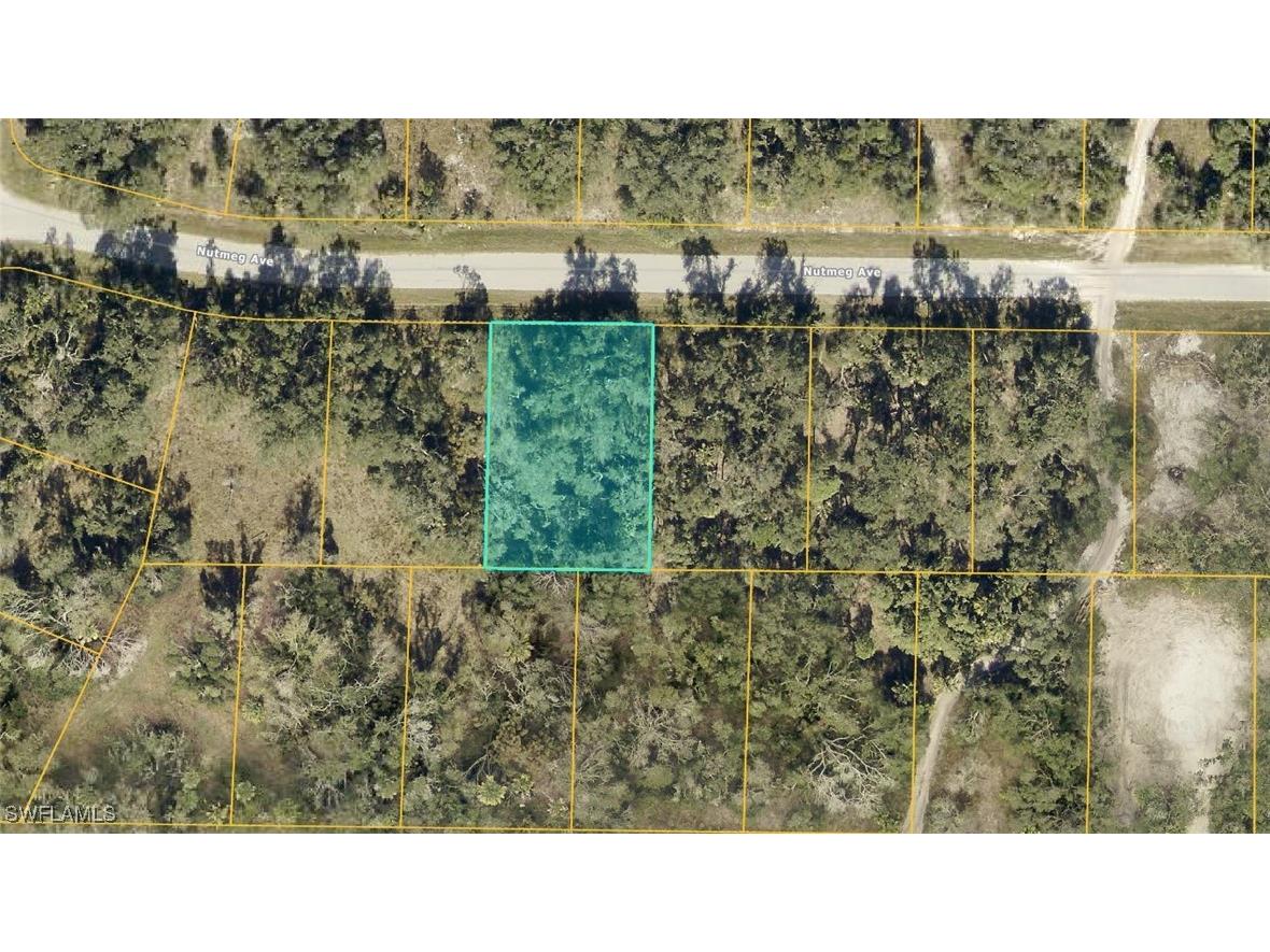0955152804 Nutmeg Avenue North Port FL 34286 225017278 image1
