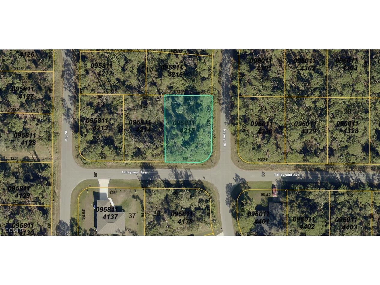 0958-11-4215 Natural Street North Port FL 34286 2025016795 image1