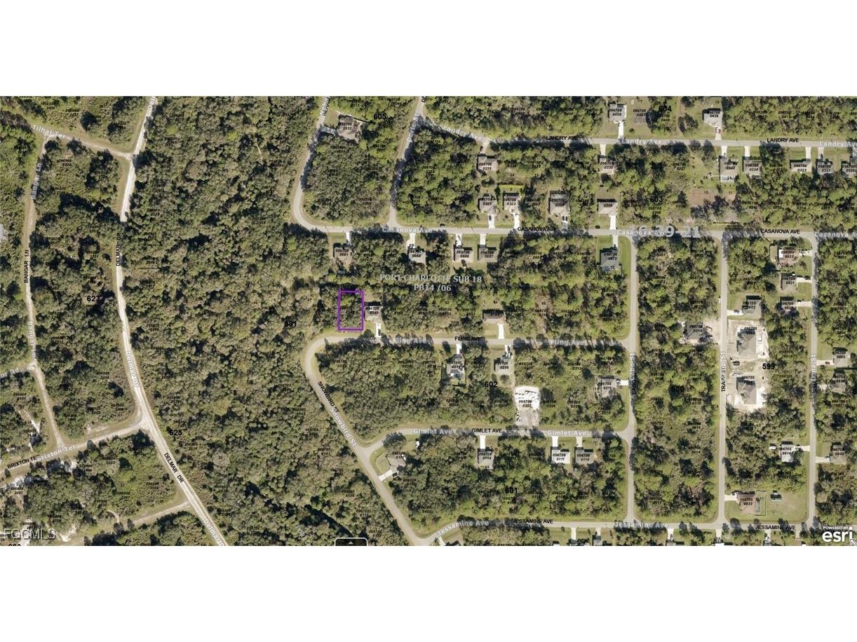 0967058148 Fling Avenue North Port FL 34291 2025008095 image2
