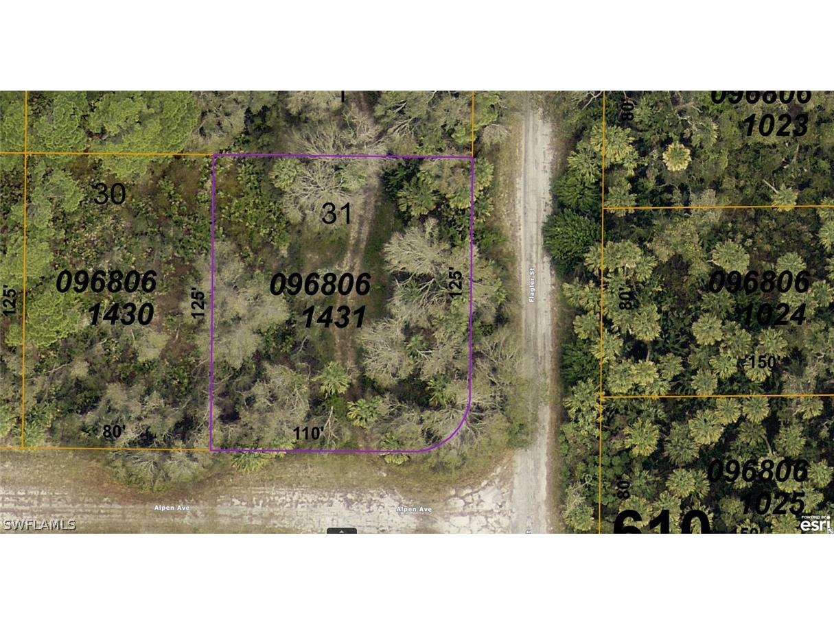 0968061431 Alpen Avenue North Port FL 34291 224052473 image1