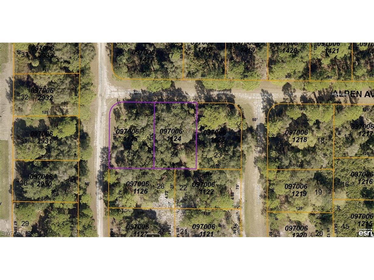 0970061124 & 0970061125 Alpen Avenue North Port FL 34291 223048433 image1