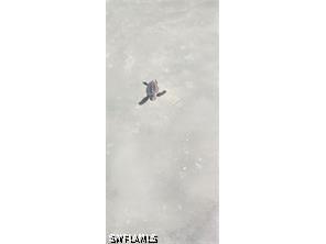 1 Bluebill Avenue #707 Naples FL 34108 226017062 image13