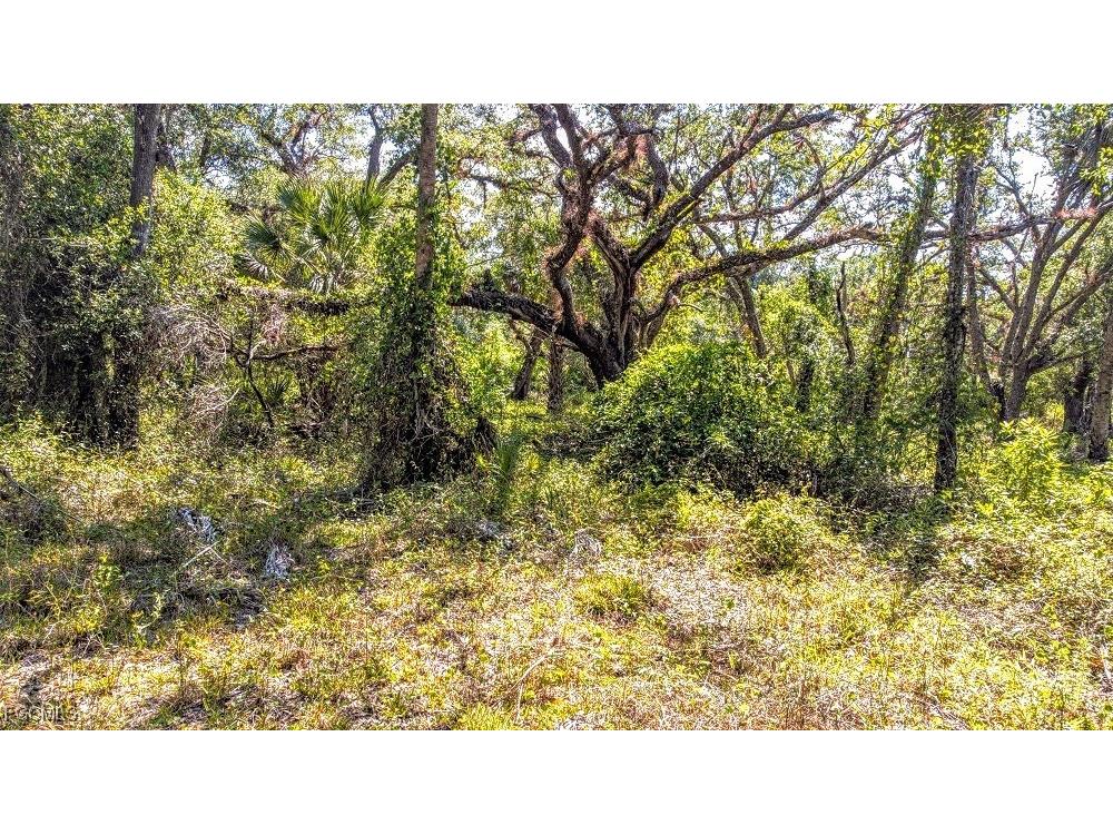 1 Catamount Road Labelle FL 33975 2026003323 image10