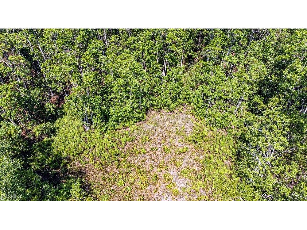 1 Catamount Road Labelle FL 33975 2026003323 image11