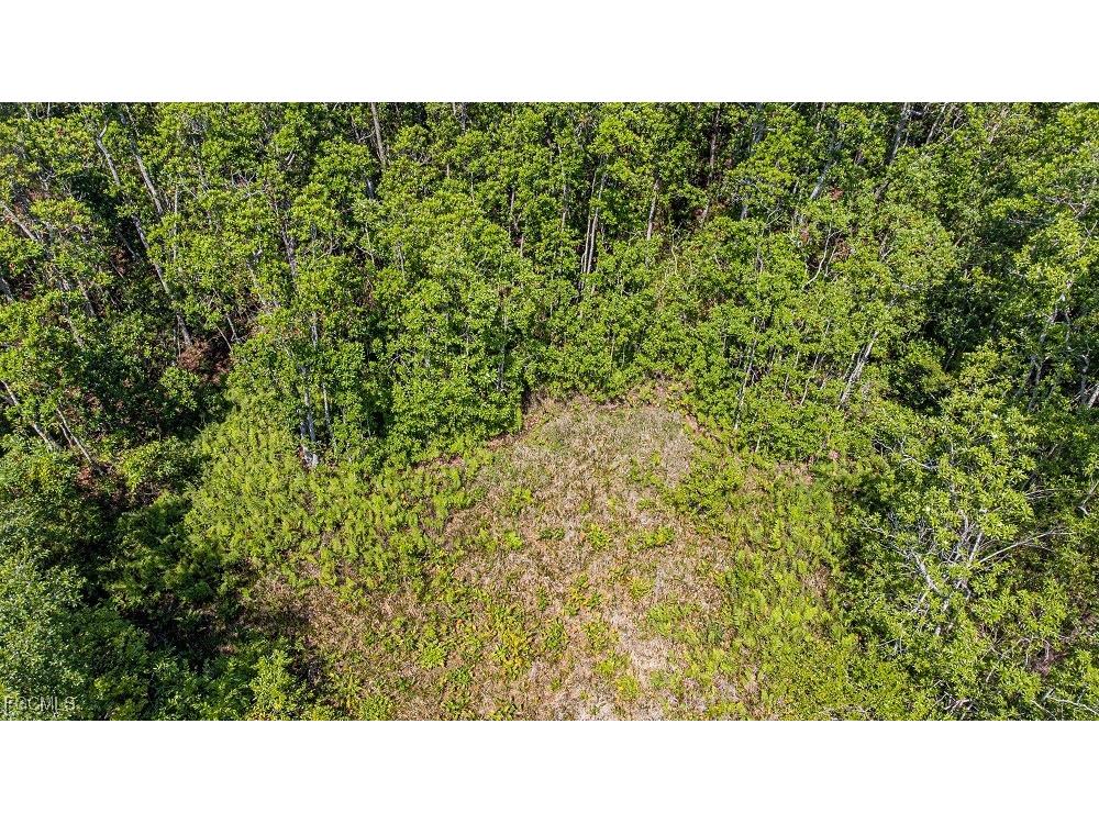 1 Catamount Road Labelle FL 33975 2026003323 image12