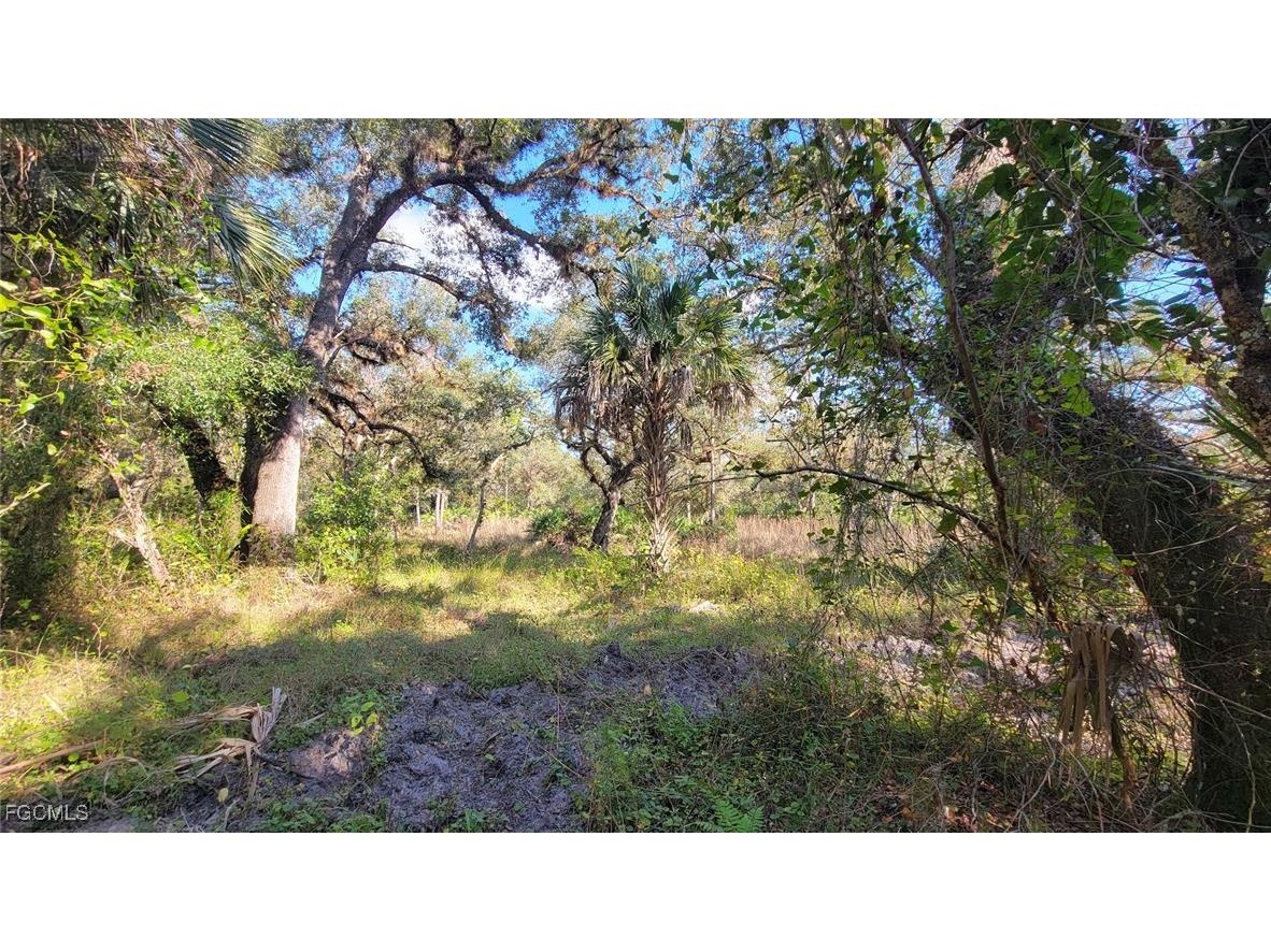 1 Catamount Road Labelle FL 33975 2026003323 image14