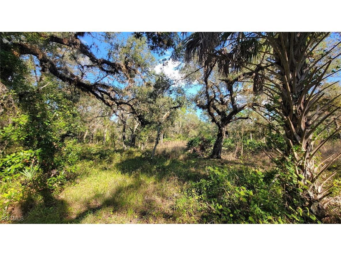 1 Catamount Road Labelle FL 33975 2026003323 image15