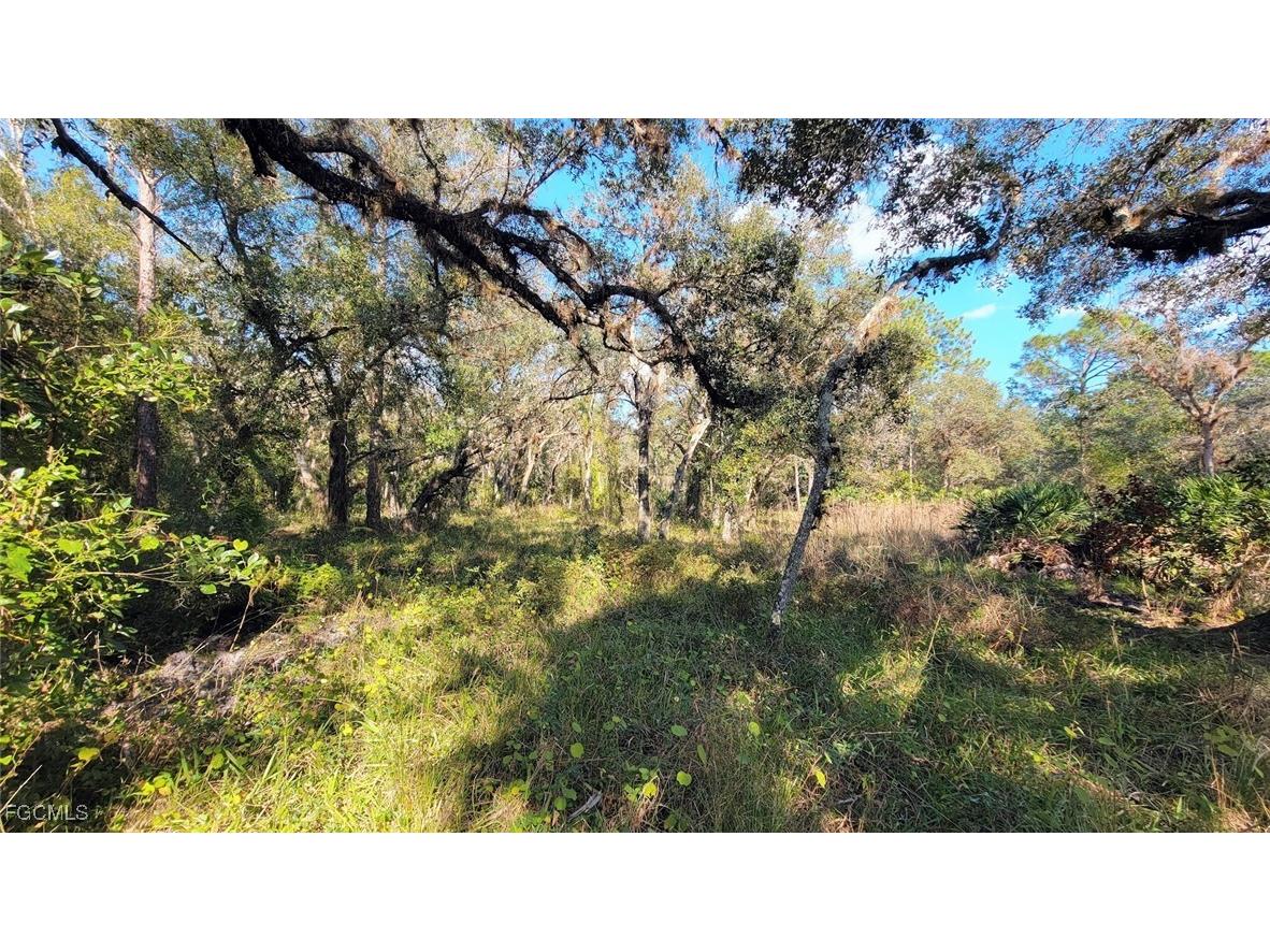 1 Catamount Road Labelle FL 33975 2026003323 image16