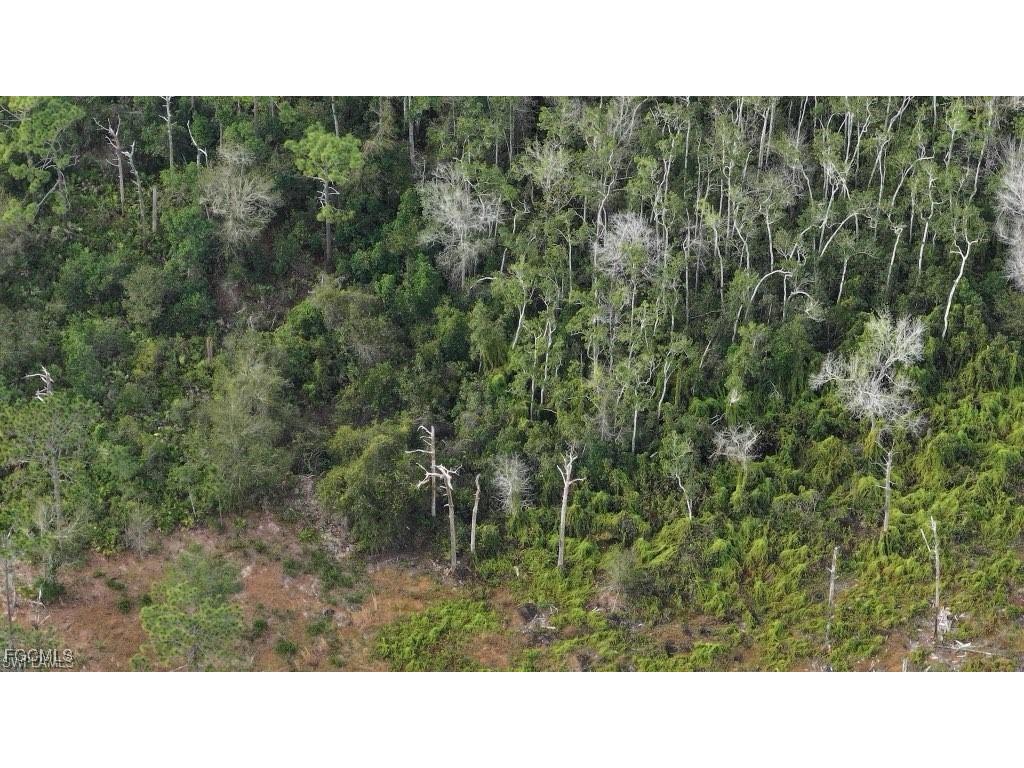 1 Catamount Road Labelle FL 33975 2026003323 image5