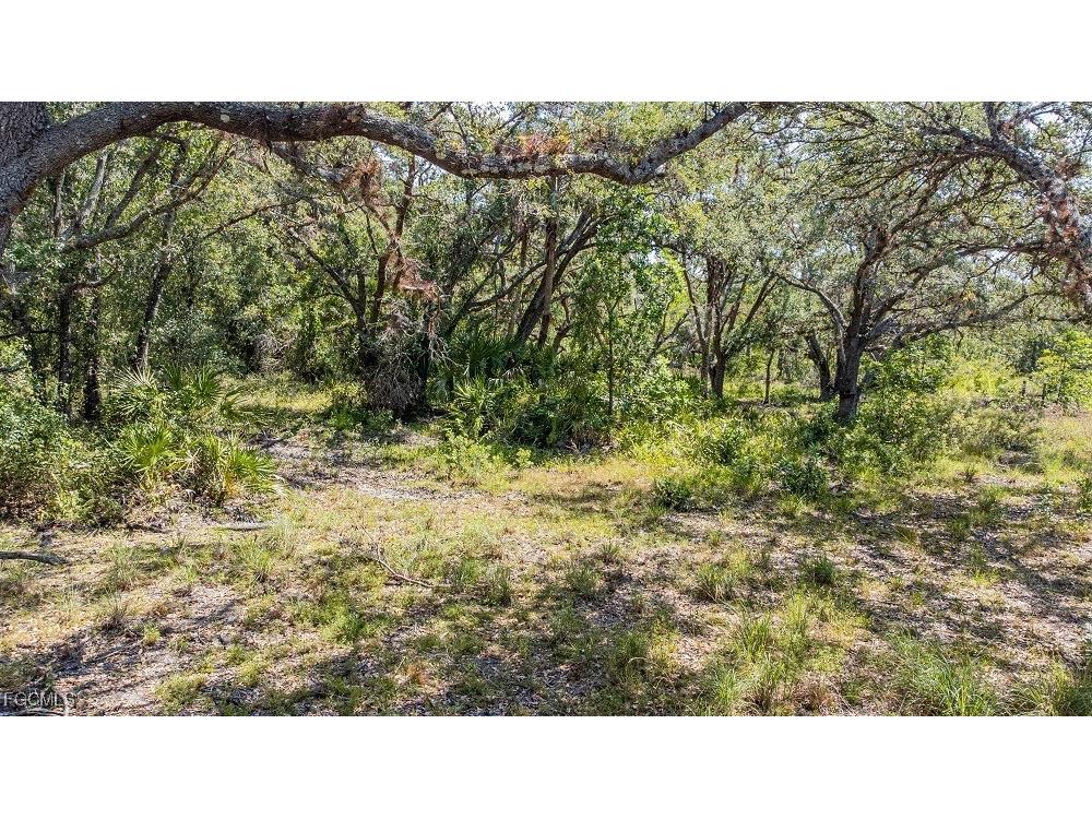 1 Catamount Road Labelle FL 33975 2026003323 image8