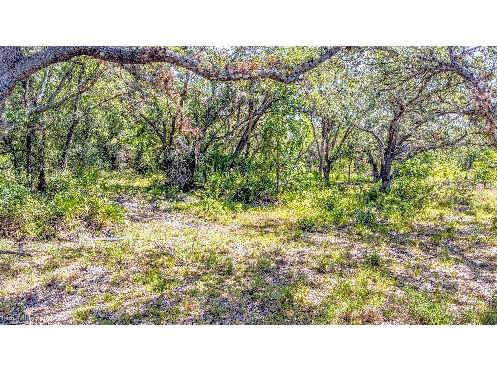 1 Catamount Road Labelle FL 33975 2026003323 image9