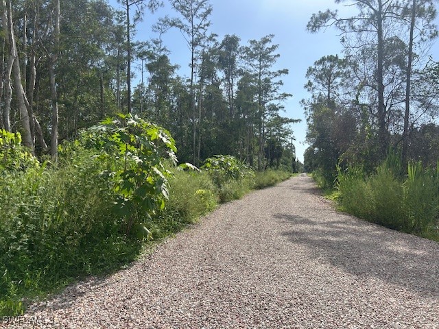 1 Rio Grande Drive Bonita Springs FL 34135 225064286 image1