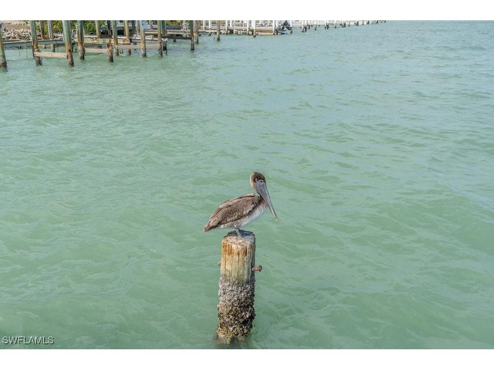 10 Tampa Place #203 Marco Island FL 34145 225024397 image32