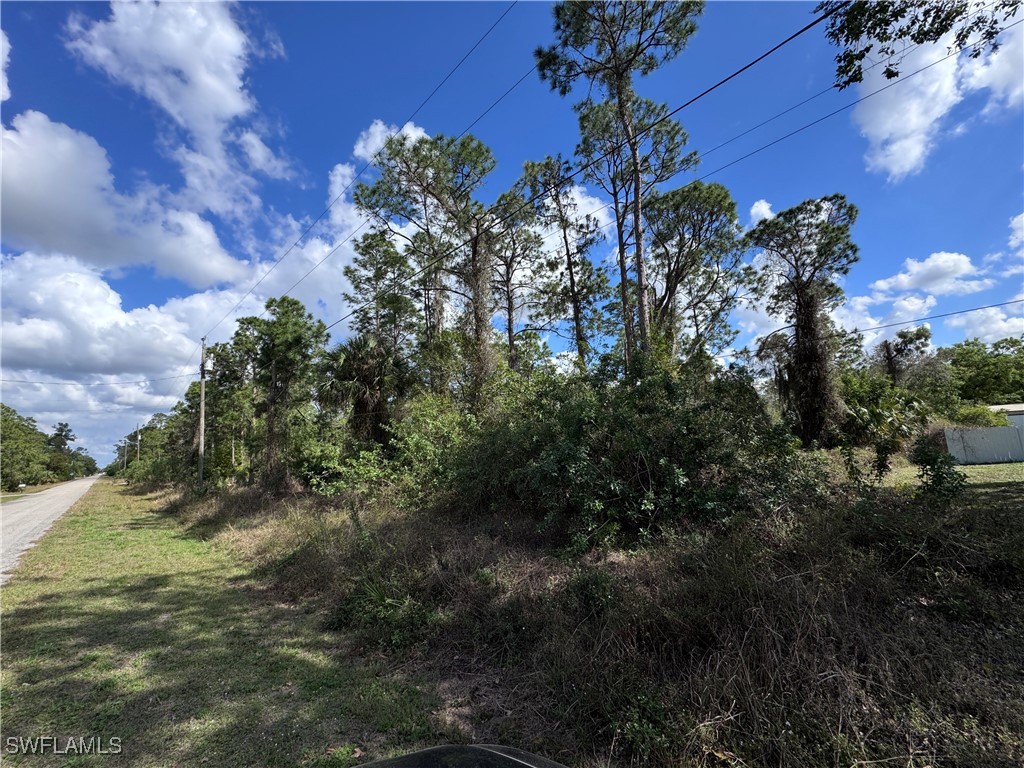 10 Wellington Avenue Lehigh Acres FL 33936 225018521 image1