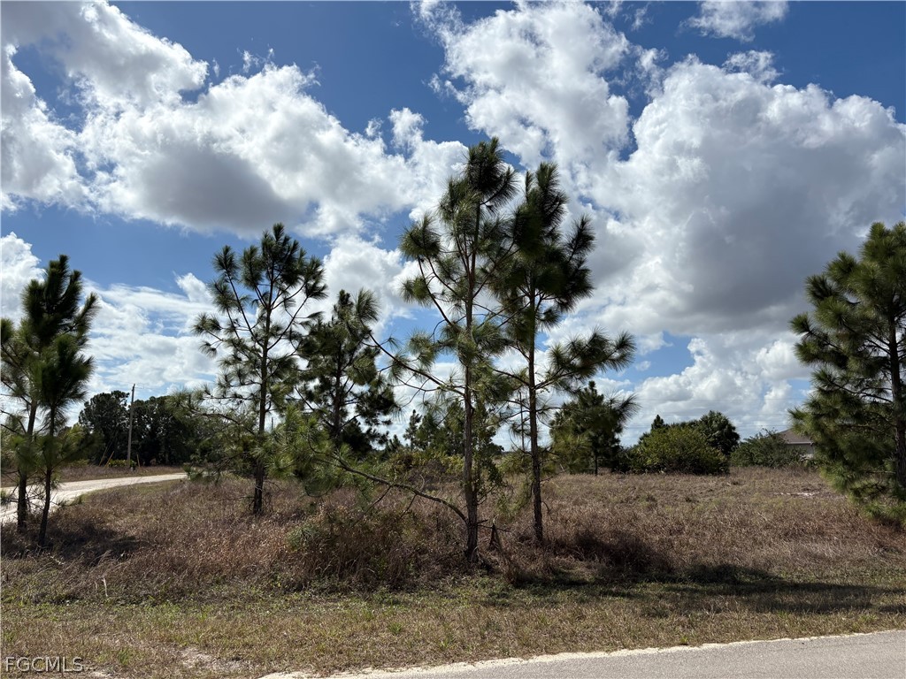 1000 Gleason Street Lehigh Acres FL 33974 2026010724 image1