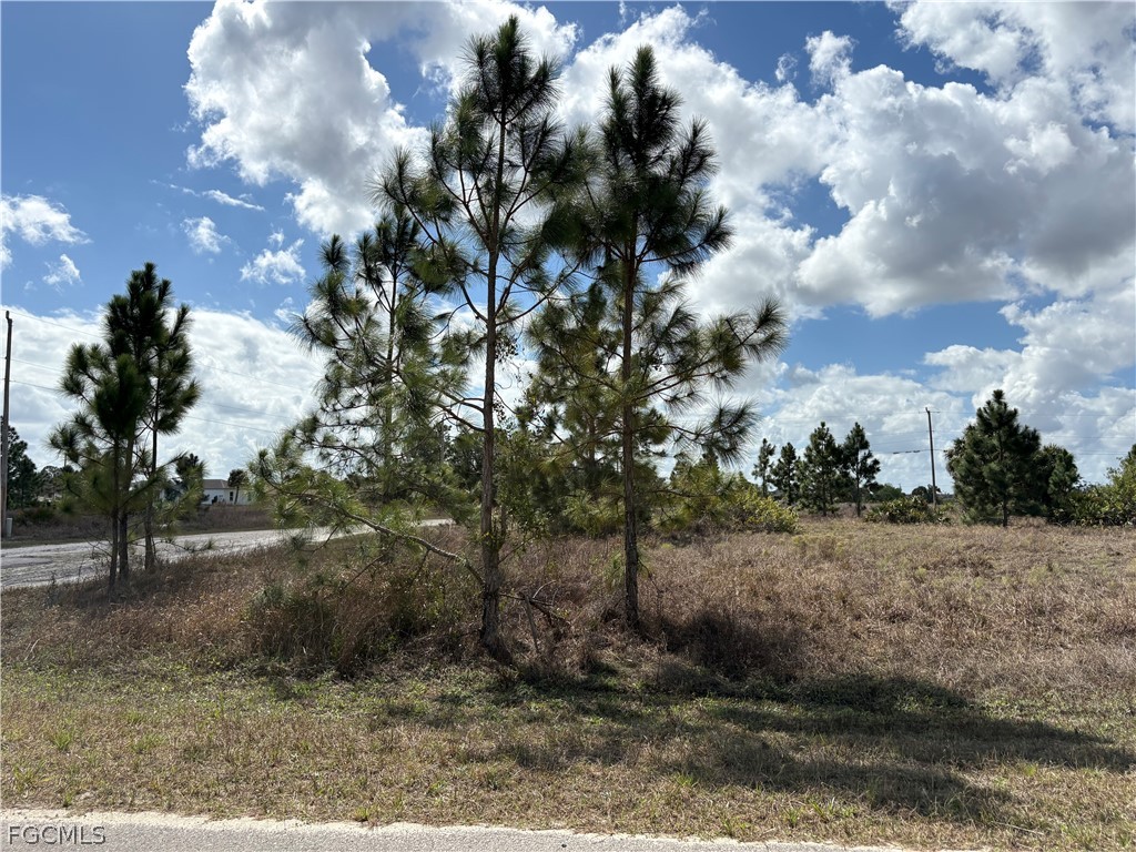 1000 Gleason Street Lehigh Acres FL 33974 2026010724 image3