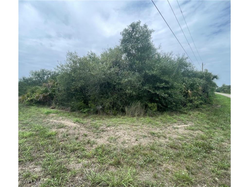 1000 W 14th Street Lehigh Acres FL 33972 225052202 image1