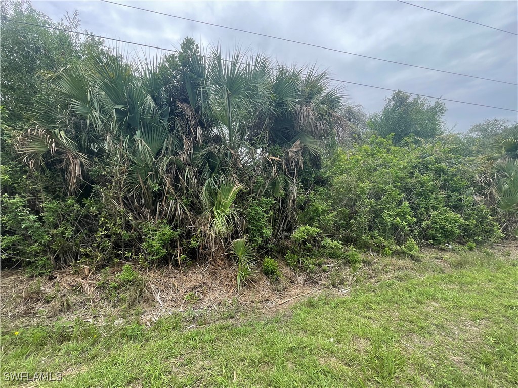 1000 W 14th Street Lehigh Acres FL 33972 225052202 image2