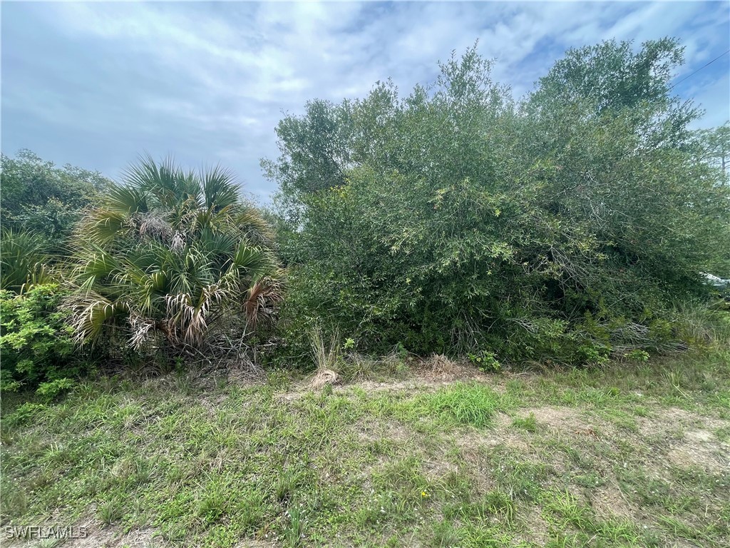 1000 W 14th Street Lehigh Acres FL 33972 225052202 image3