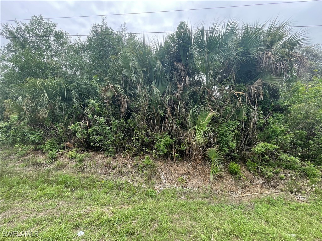 1000 W 14th Street Lehigh Acres FL 33972 225052202 image4