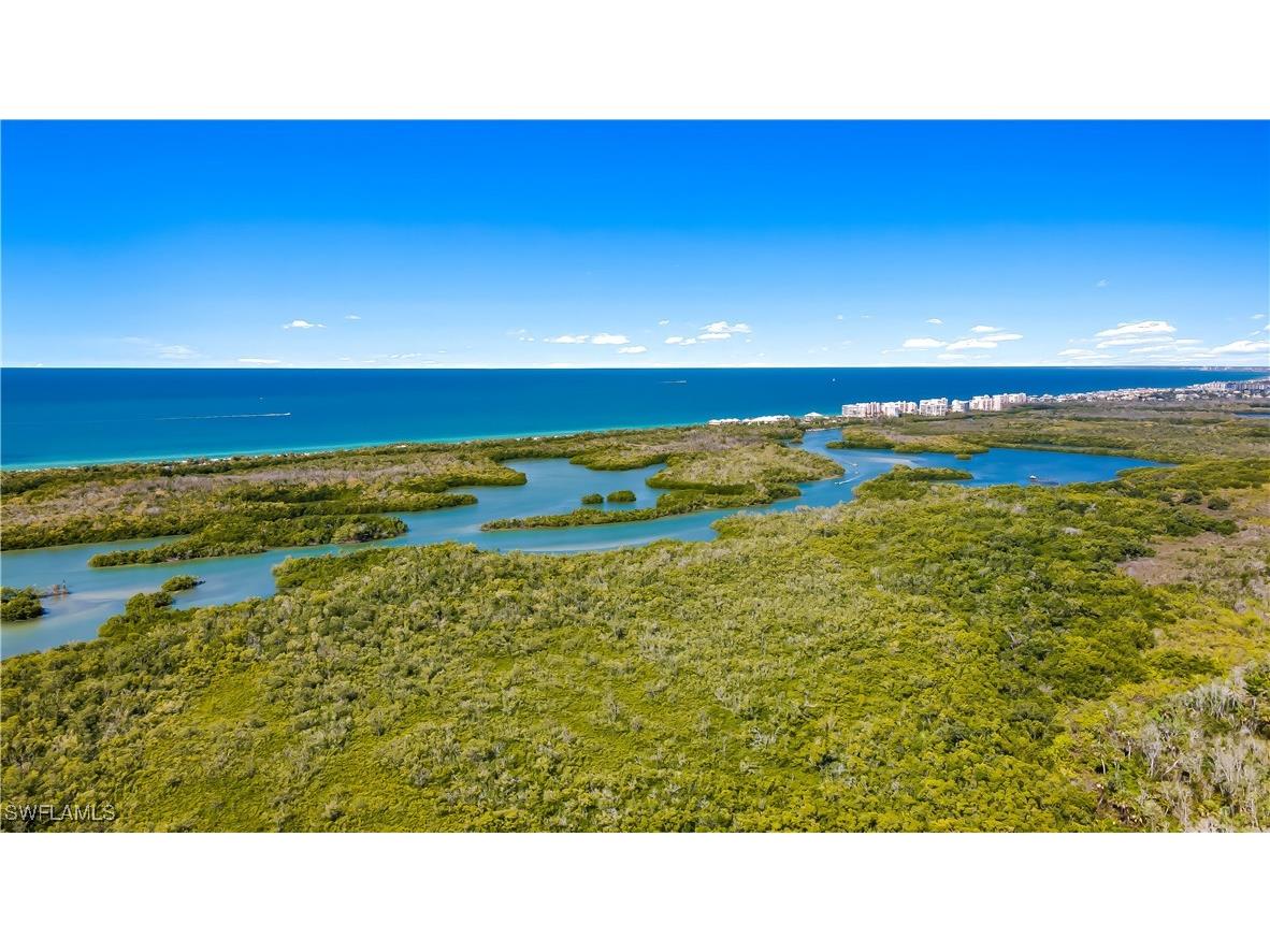 1001 Arbor Lake Drive #1203 Naples FL 34110 225072377 image46