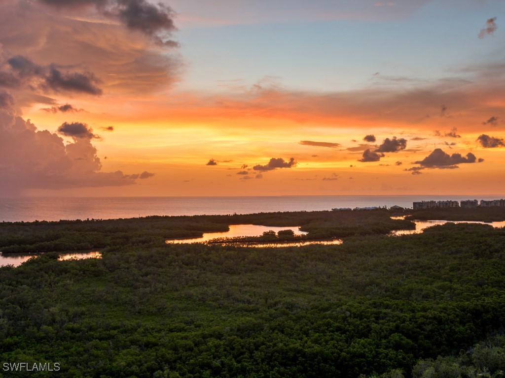 1001 Arbor Lake Drive #1406 Naples FL 34110 224096113 image38