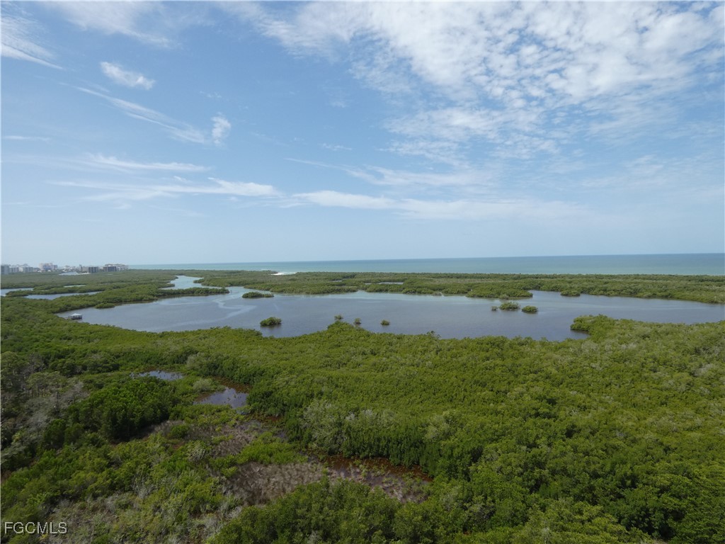 1001 Arbor Lake Drive #506 Naples FL 34110 2025008162 image19