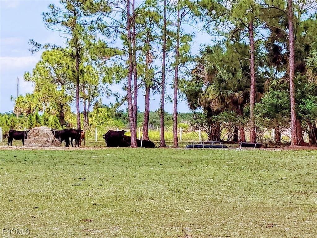 1001 Homestead Avenue Clewiston FL 33440 2025013240 image11