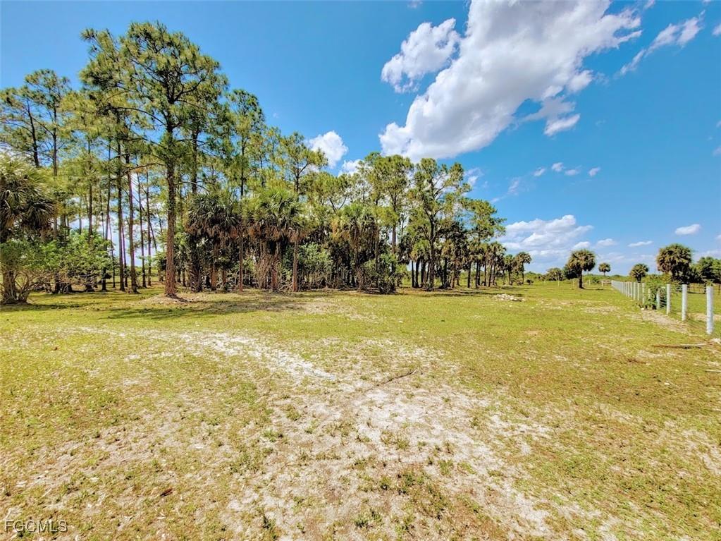 1001 Homestead Avenue Clewiston FL 33440 2025013240 image8