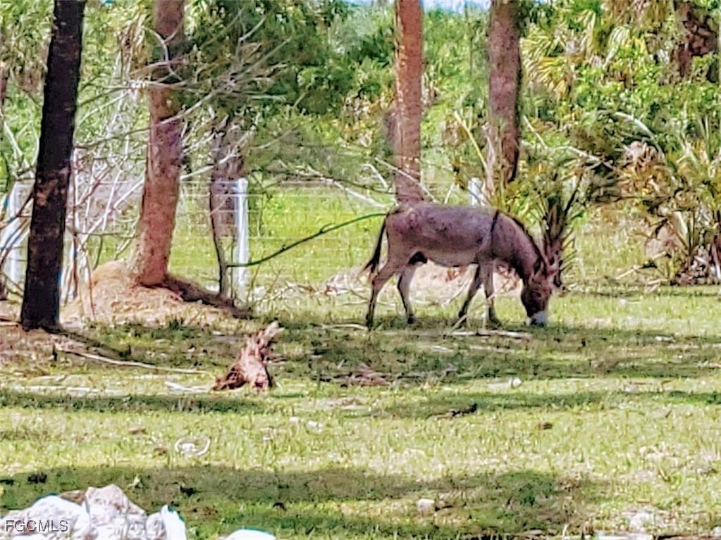 1001 Homestead Avenue Clewiston FL 33440 2025013240 image9