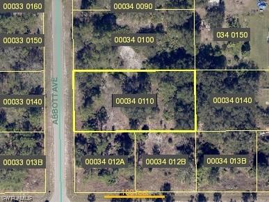 1002 Abbott Avenue Lehigh Acres FL 33972 223065463 image1