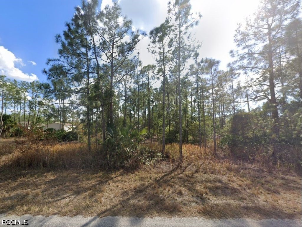 1002 E 15th Street Lehigh Acres FL 33972 2026020996 image3