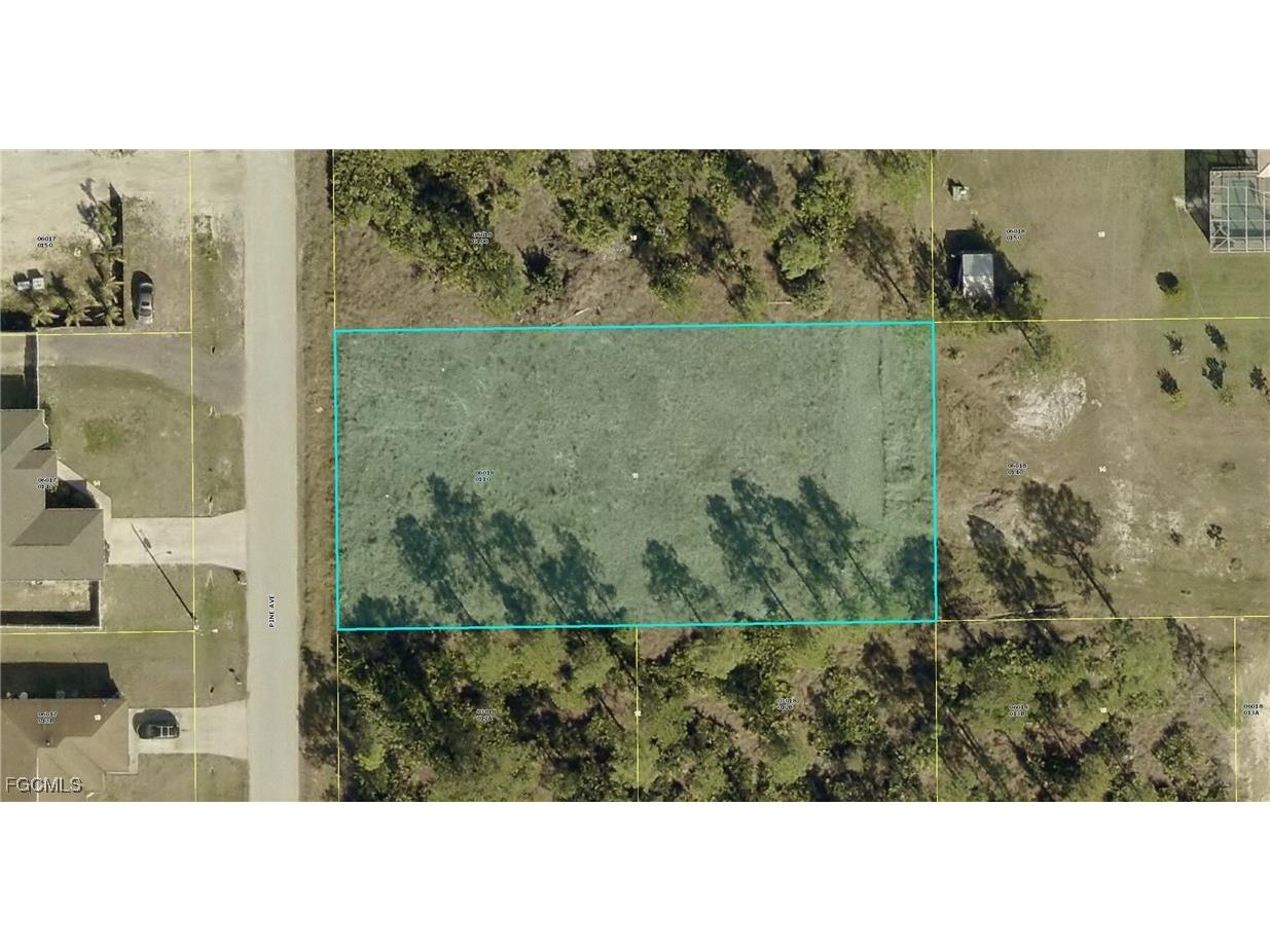 1002 Pine Avenue Lehigh Acres FL 33972 2025011668 image1