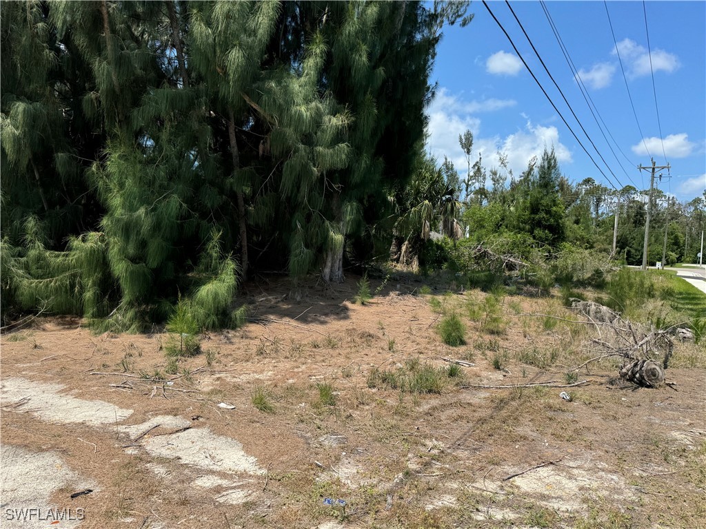 1002 SW 15th Place Cape Coral FL 33991 225059784 image15