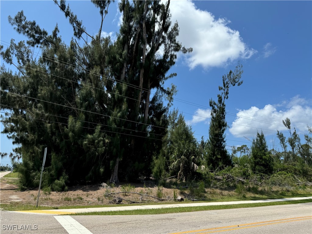 1002 SW 15th Place Cape Coral FL 33991 225059784 image16