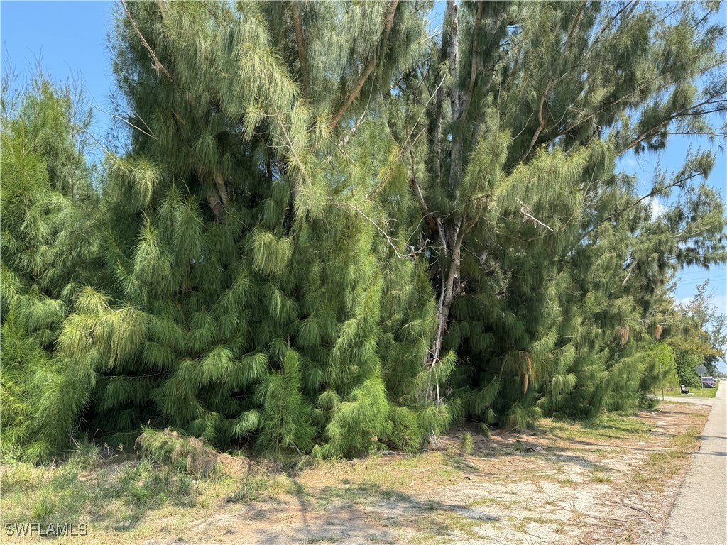 1002 SW 15th Place Cape Coral FL 33991 225059784 image19