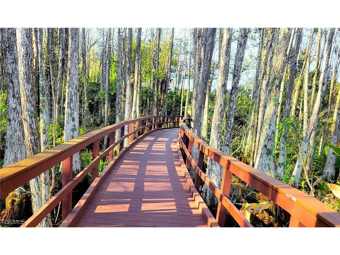 10021 Colonial Country Club Boulevard Fort Myers FL 33913 2025010513 image47