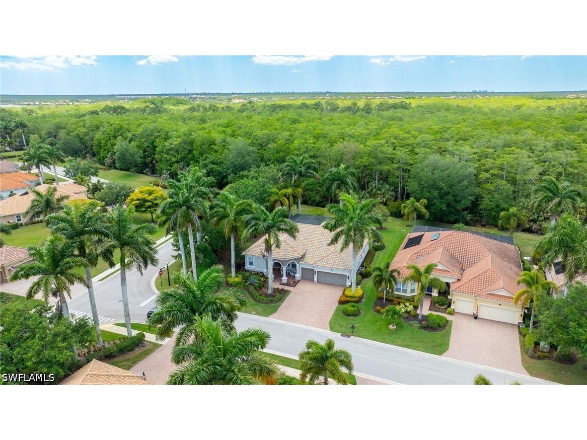 10023 Escambia Bay Court Naples FL 34120 226017137 image31