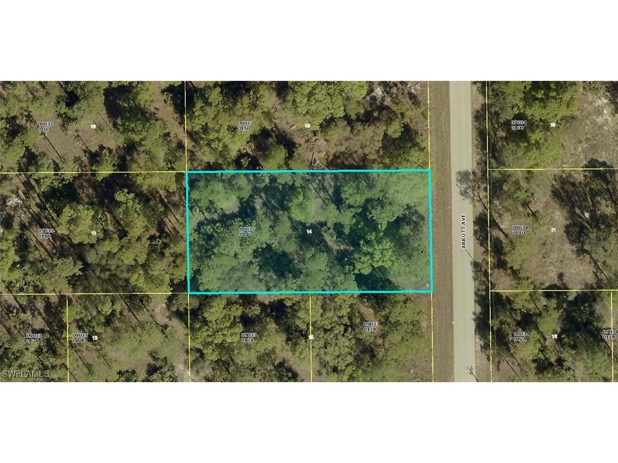 1003 Abbott Avenue Lehigh Acres FL 33972 225057511 image1