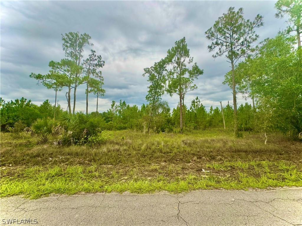1003 Hamilton Avenue Lehigh Acres FL 33972 224057003 image1