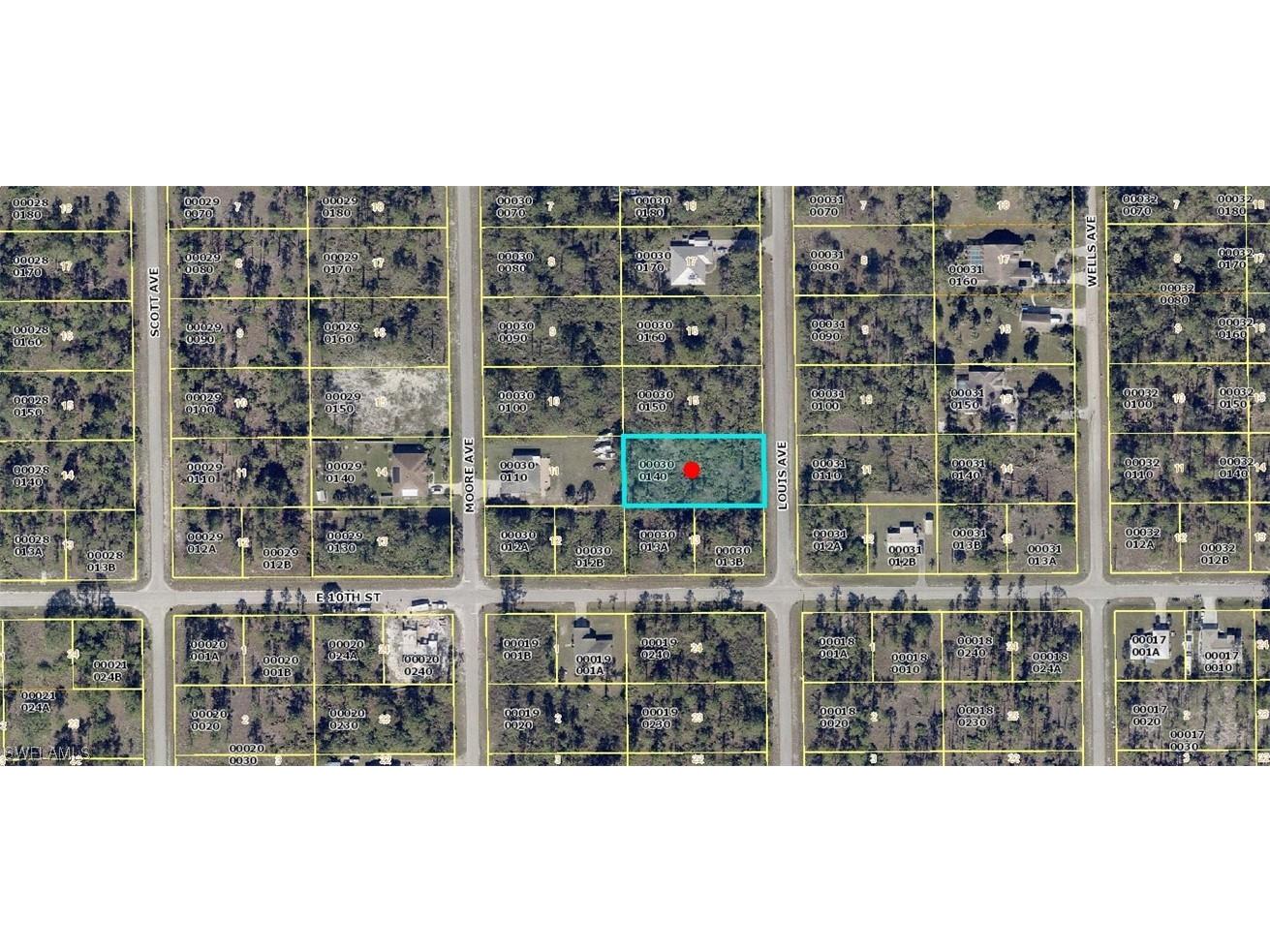 1003 Louis Avenue Lehigh Acres FL 33972 223057625 image1