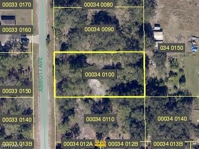 1004 Abbott Avenue Lehigh Acres FL 33972 223065464 image1